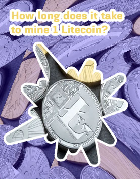 How much is 1 litecoin worth